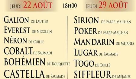 COURSES CAMARGUAISES DE L’ÉTÉ : OUVERTURE DE LA BILLETTERIE LE MARDI 23 JUILLET