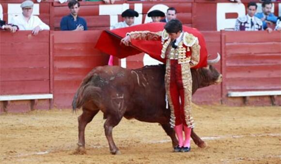 J -1 AVANT LA FERIA DE PENTECÔTE : UNE GRANDE CORRIDA DE JUAN PEDRO DOMECQ À JEREZ DE LA FRONTERA