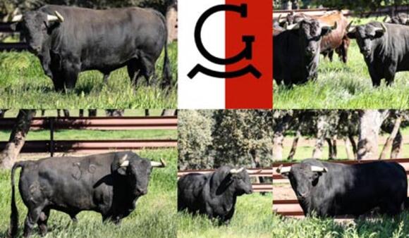 FERIA DE PENTECÔTE : LES TOROS DE GARCIGRANDE DE LA DEUXIÈME CORRIDA