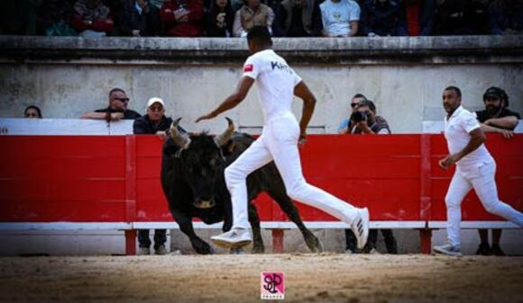 FERIA DE PENTECÔTE : LE COCARDIER « CASTELLA » ET ZIKO KATIF ANIMATEURS D’UNE GRANDE COURSE CAMARGUAISE