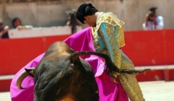 FERIA DE PENTECÔTE : PRÉSENTATION TRIOMPHALE ET PORTE DES CONSULS POUR SAMUEL NAVALÓN, VAINQUEUR DE LA CAPE D’OR