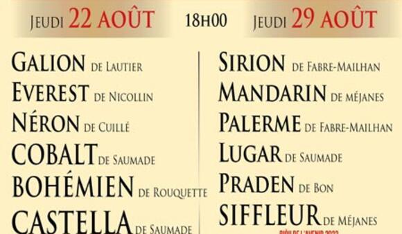 COURSES CAMARGUAISES : L’ÉTÉ DE TOUTES LES ÉMOTIONS AUX ARÈNES DE NÎMES